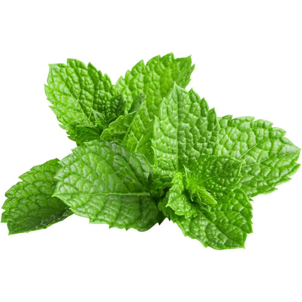 Mint