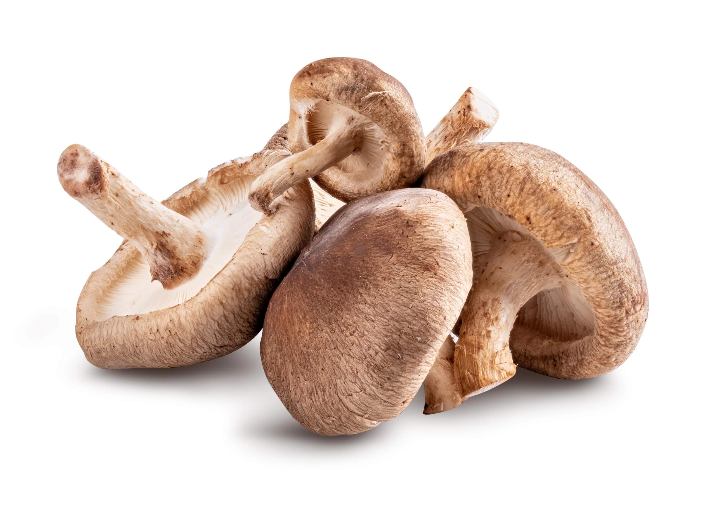 Mushrooms